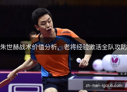 朱世赫战术价值分析，老将经验激活全队攻防